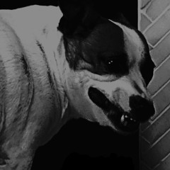 The Blackest of Masses (ft. Fistula)