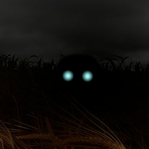 Against the Grain - Chase