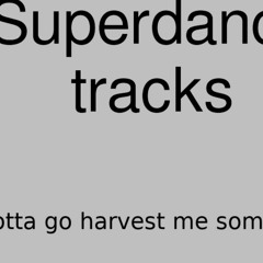 hk_superdance_tracks_508