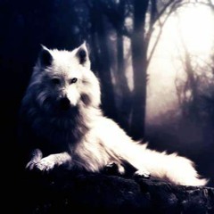 10 MINUTINHOS DO WHITE WOLF{PROD...DJ SG O QUERIDIM}2023