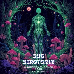 SUB SEROTONIN - ITSCHUNGO