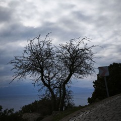 wind - 2.12.2024, 17.39.mp3