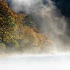 muscleforlifefitness, background music for video no copyright 🎼​ FREE DOWNLOAD