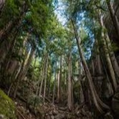 Famjam - First bush rave set