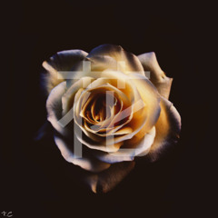 花 (Flower)