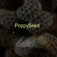 PoppySeed