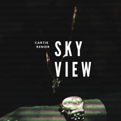 Skyview