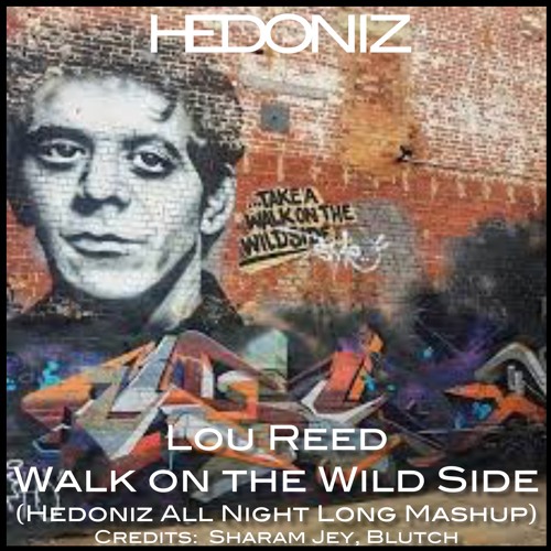 Walk on the Wild Side (Hedoniz All Night Long Extended Mashup)