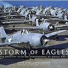 download EPUB 📕 Storm of Eagles: The Greatest Aviation Photographs of World War II b
