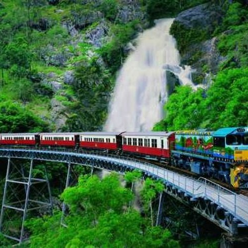 Rolling Through The Jungle