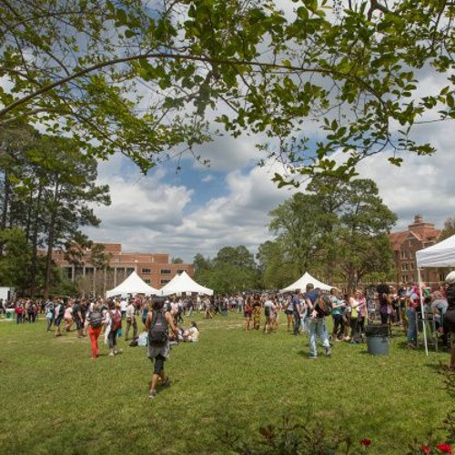 Stream FSU Involvement Fair helps lead diversity on campus by Florida