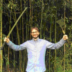 The Second Last Ninja