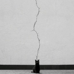 luke chiang - never tell