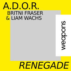 A.D.O.R, Liam Wachs - Renegade (Liam Wachs Mix)