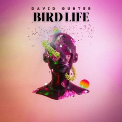 David Gunter - Birdlife