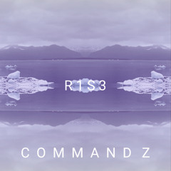R1S3 - Command Z
