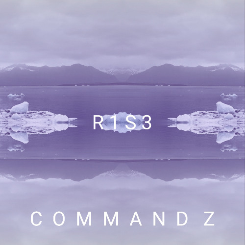 R1S3 - Command Z