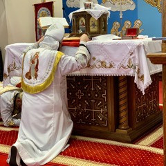 God Have Mercy On Us (Coptic) - Fr. Mina Gerges [8/16/21]