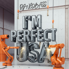 Dj Neobass - I'm Perfect Usa
