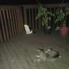 ☆2007☆ I Never Want 2 Grow Up Ft Alicia(prod RODGER)