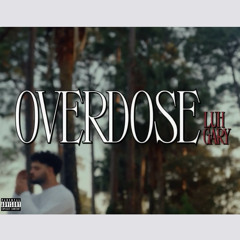 Luhgary - Overdose (prod.clouxd)