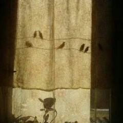 سيبقى اشتياقي - علي محمد زاهر