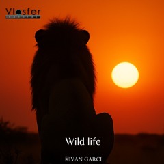 Wild Life (Original Mix)