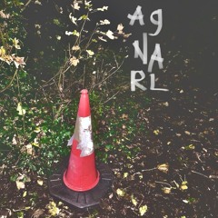 two birds in low fidelity