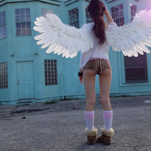 wing