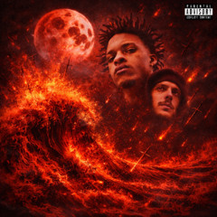 Lights, Camera, Action