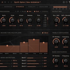 Tai Chi | Acoustic Guitar 1 DRY