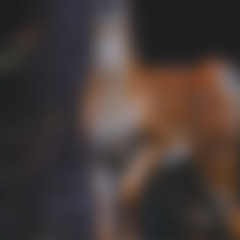 اخذت قلبي محمد السكران