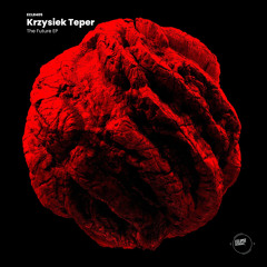 Krzysiek Teper - The Future