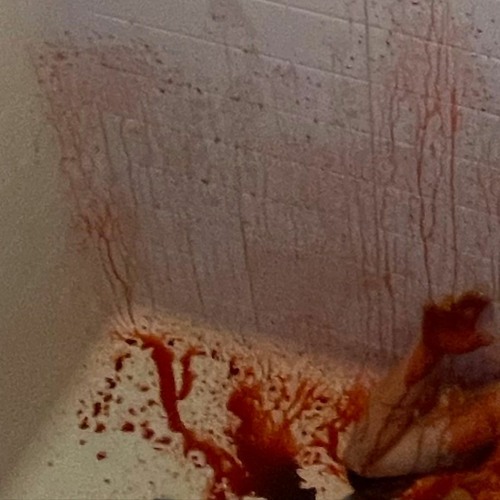 WHOKILLEDXIX - ROT [UNRELEASED]