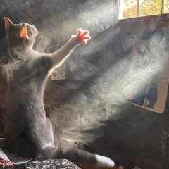 50-50 Hybrid House mix