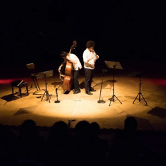 Frammento [94] - (2025) - for flute and double bass