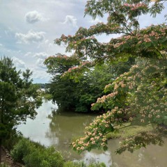 ii most wanted by beyoncé cover (ft. my sister)