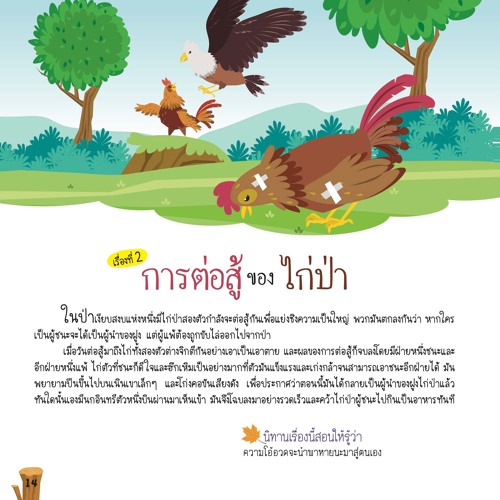 002 การต่อสู้ของไก่ป่า