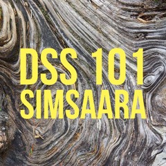DSS 101 | Simsaara