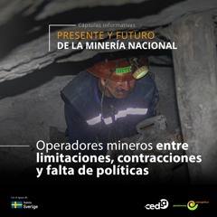 Cápsula informativa N° 5: Operadores mineros entre limitaciones, contracciones y falta de políticas
