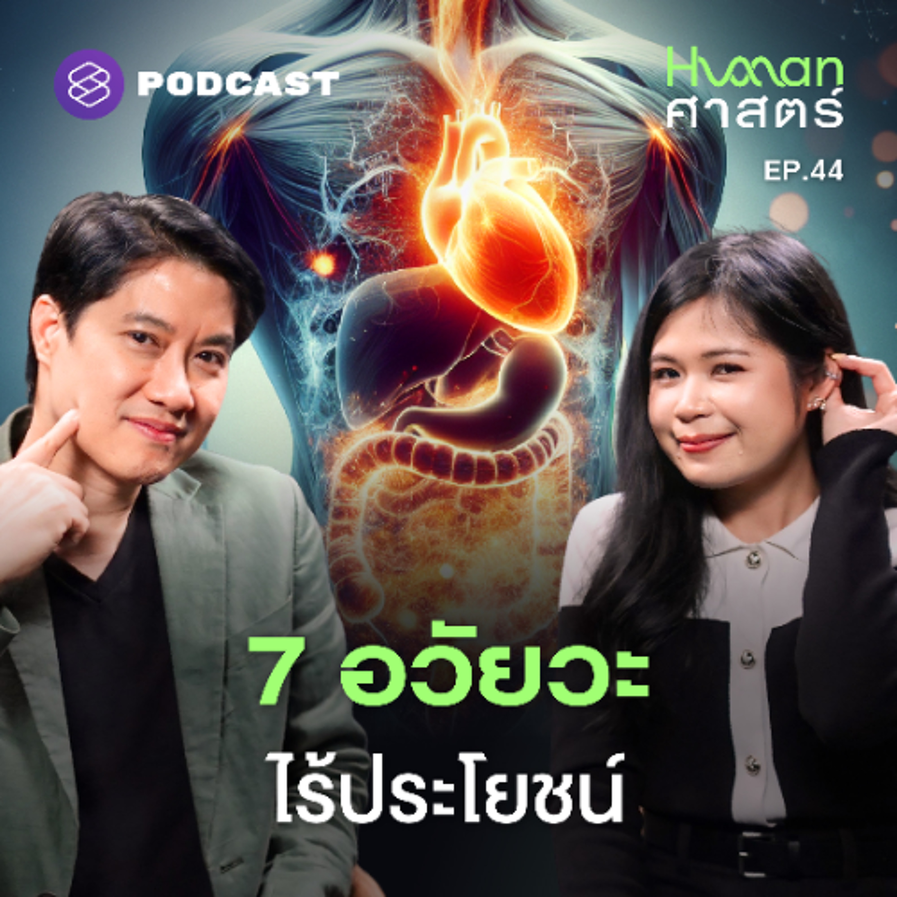 Human-ศาสตร์ EP.44 อวัยวะไร้ประโยชน์เหล่านี้ ทำไมยังต้องมีอยู่?