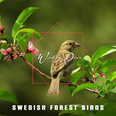 Swedish Cuckoo Bird (Seamless)