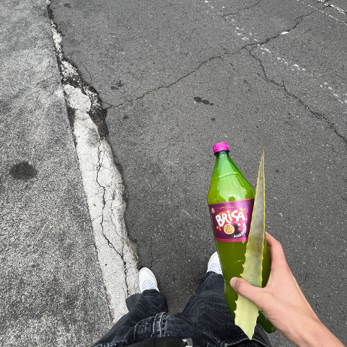 Swag Up  [prod. Schell]