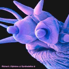 Synthedelica 009