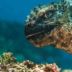 techno mixes added 2020