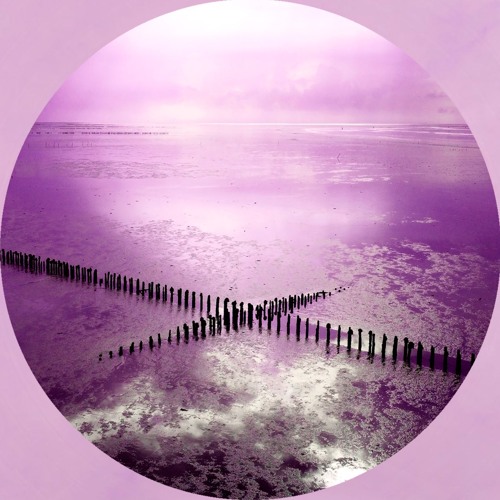 Enko - No Shelter (soon on Interwave15)