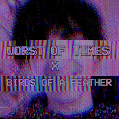 Worst Of Times X Birds Of a Feather AVII MASHUP