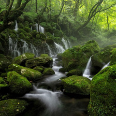 Pachelbel Chaconne in F Major, P.42  パッヘルベル シャコンヌ ヘ長調