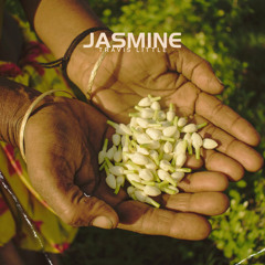 “Jasmine”