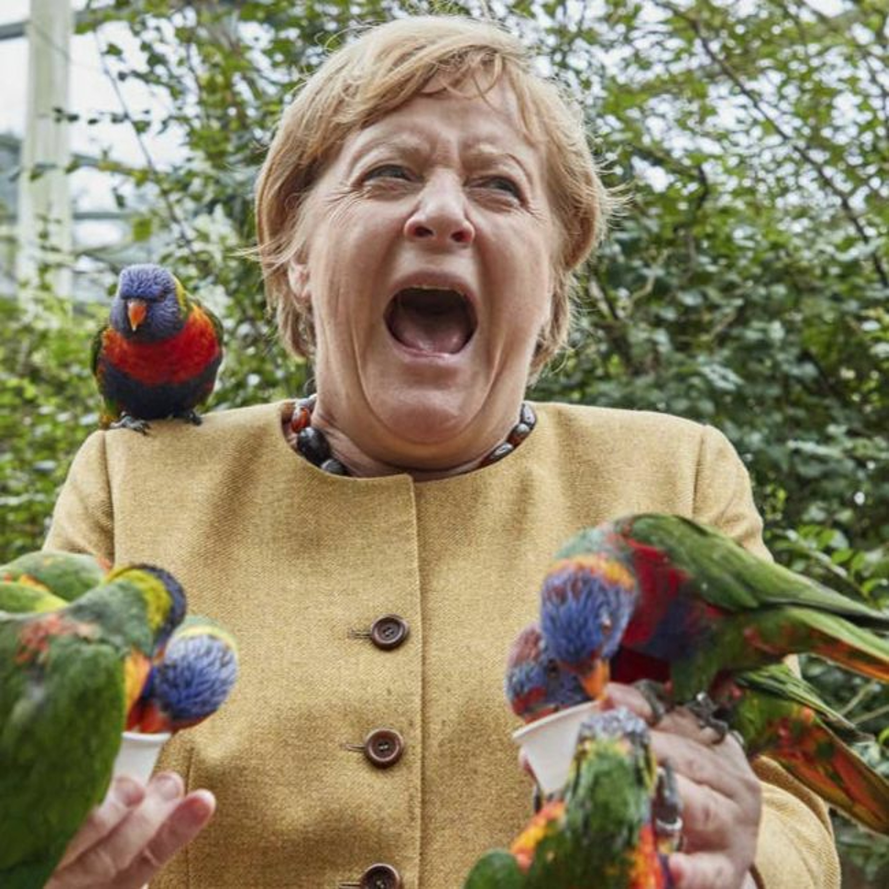 Ep. 39: On the NBA's Vaccine Blues, the German Elections, & Protests Today episode artwork
